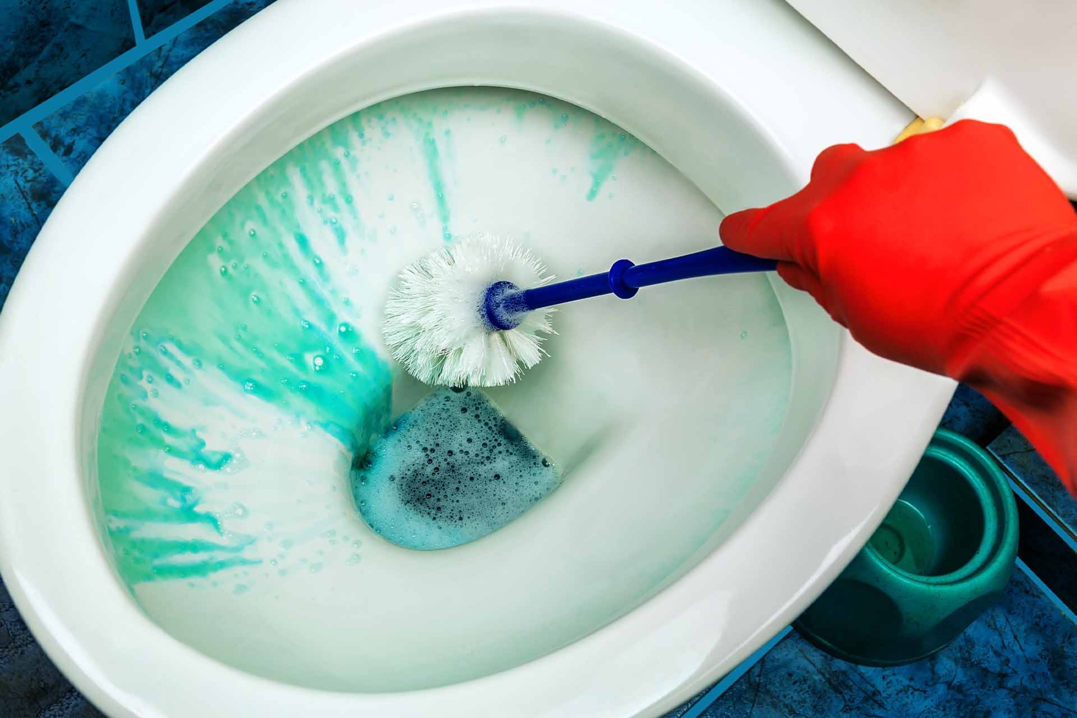 Toilet Cleaning